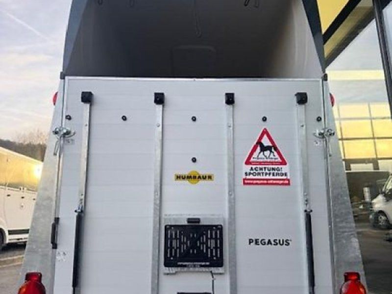 Humbaur Pegasus 2 Pferde 2,4t. D/S Klappe Panorama