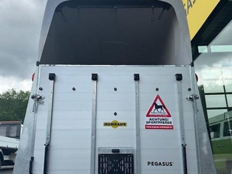Humbaur Pegasus 2 Pferde Alu  2,4t DS