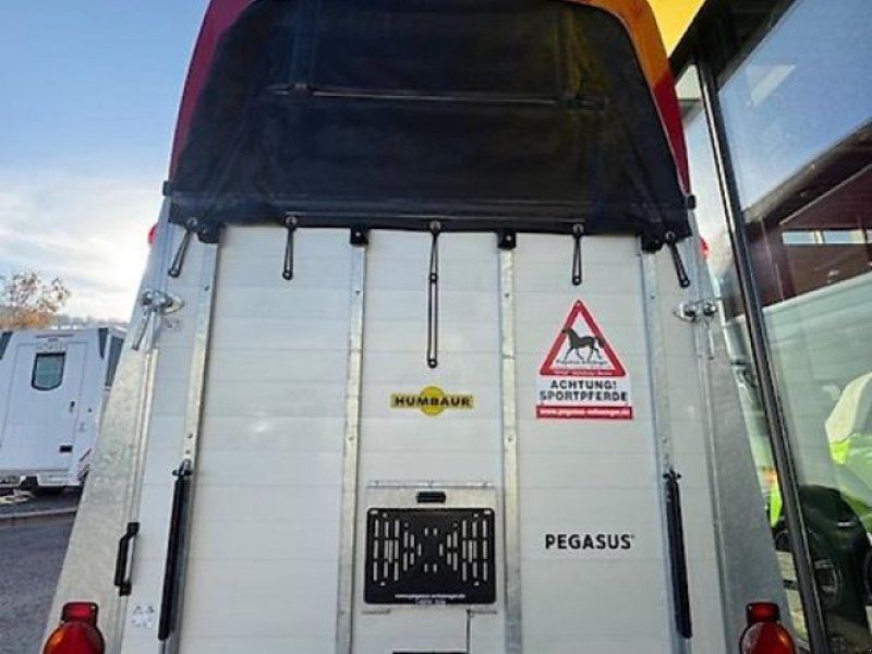 Humbaur Pegasus 2 Pferde  Dreh-Schwenkklappe ALU 2,4t