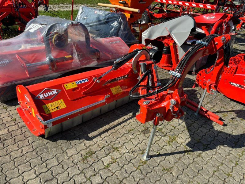 Kuhn TBES 19