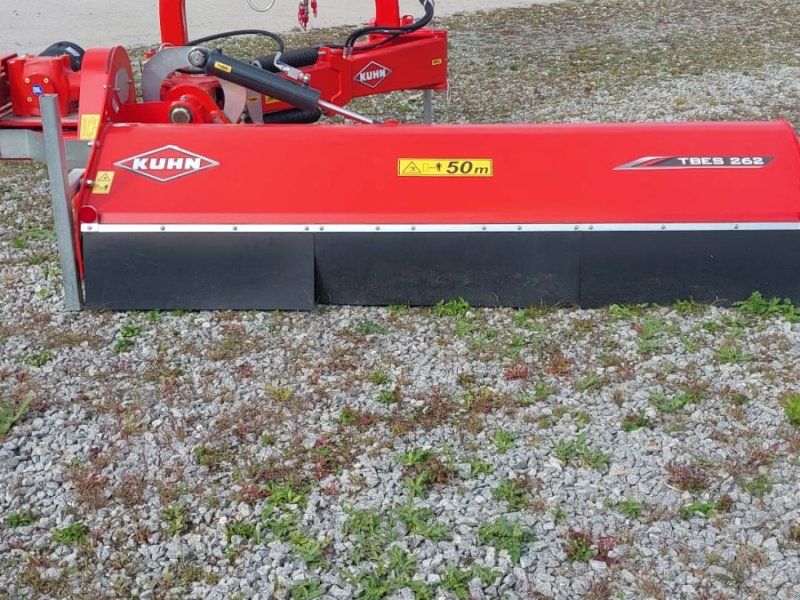 Kuhn TBES 262