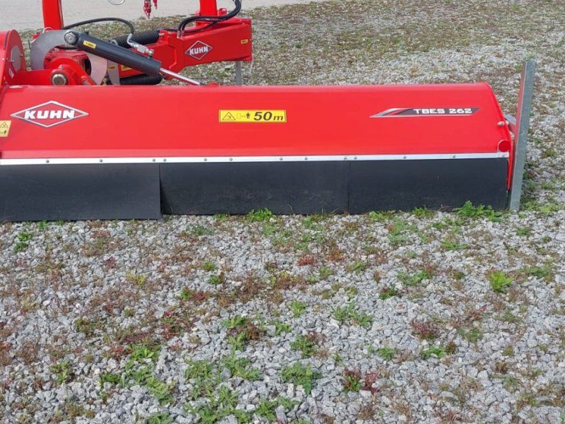 Kuhn TBES 262