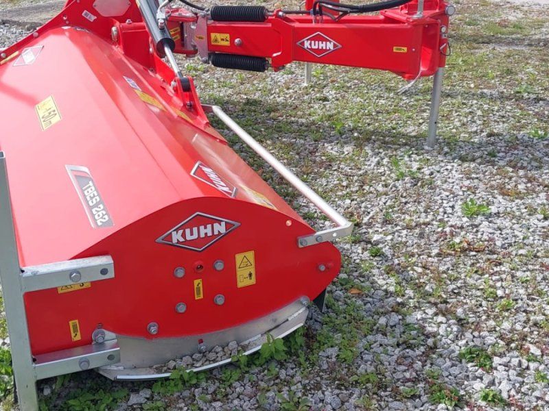 Kuhn TBES 262