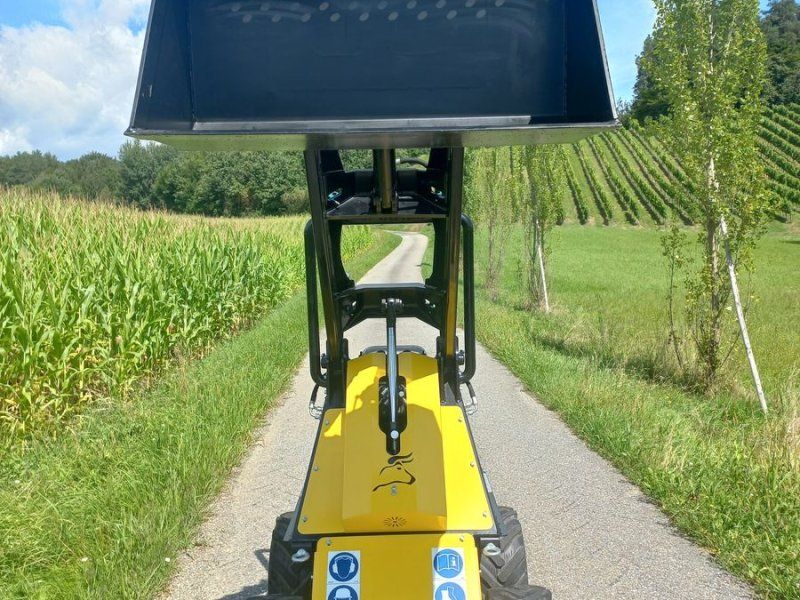 N520