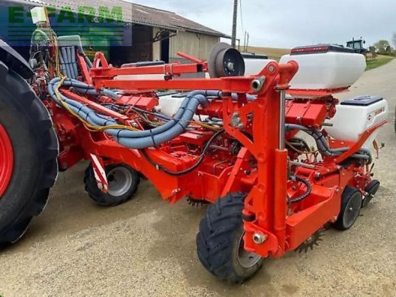 Kuhn maxima 2