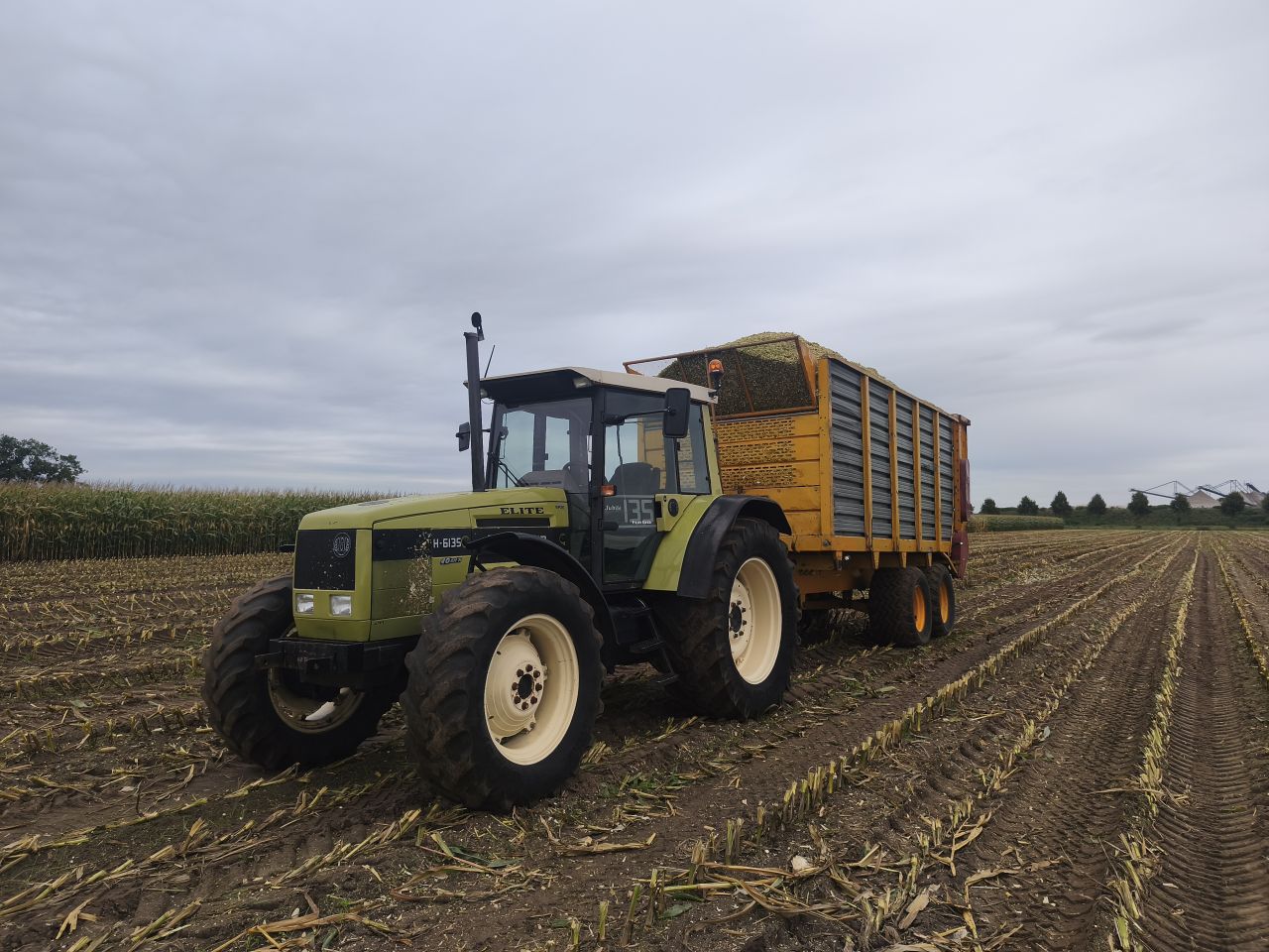 Hurlimann H-6135 Elite