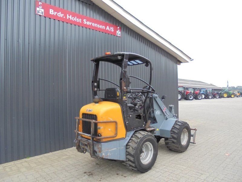 Giant D337T
