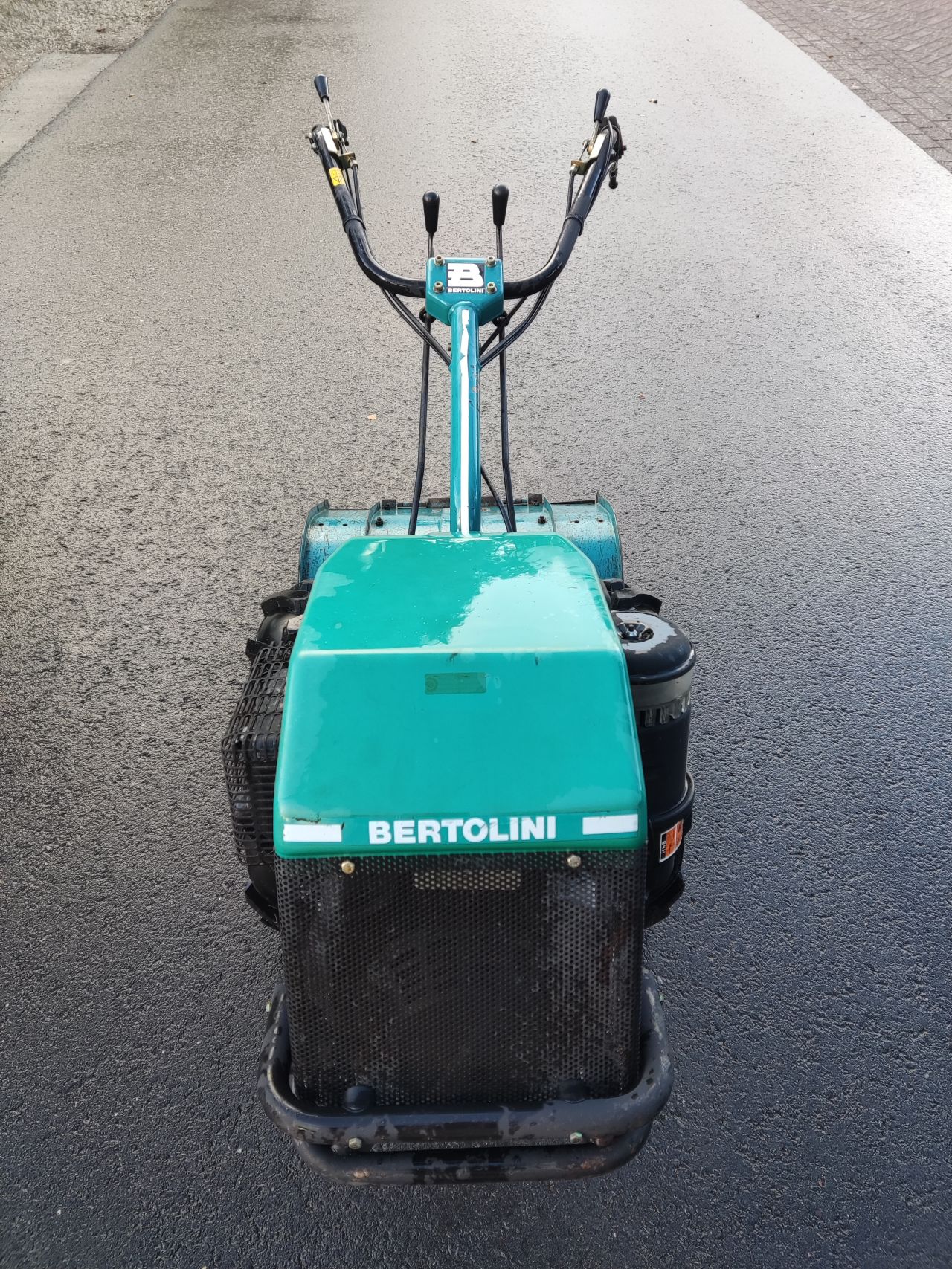 BERTOLINI tuinfrees (type 408, Lombardini diesel, 55 cm.)
