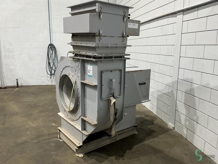 Fans Kiekens 8 FTEN 560 2019