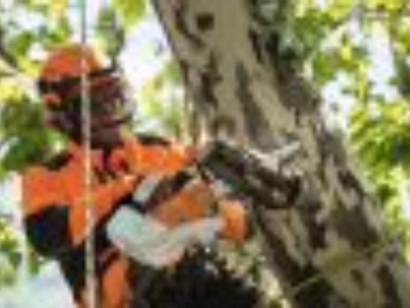 Stihl AKKU MOTORSÄGE MSA 161T /30