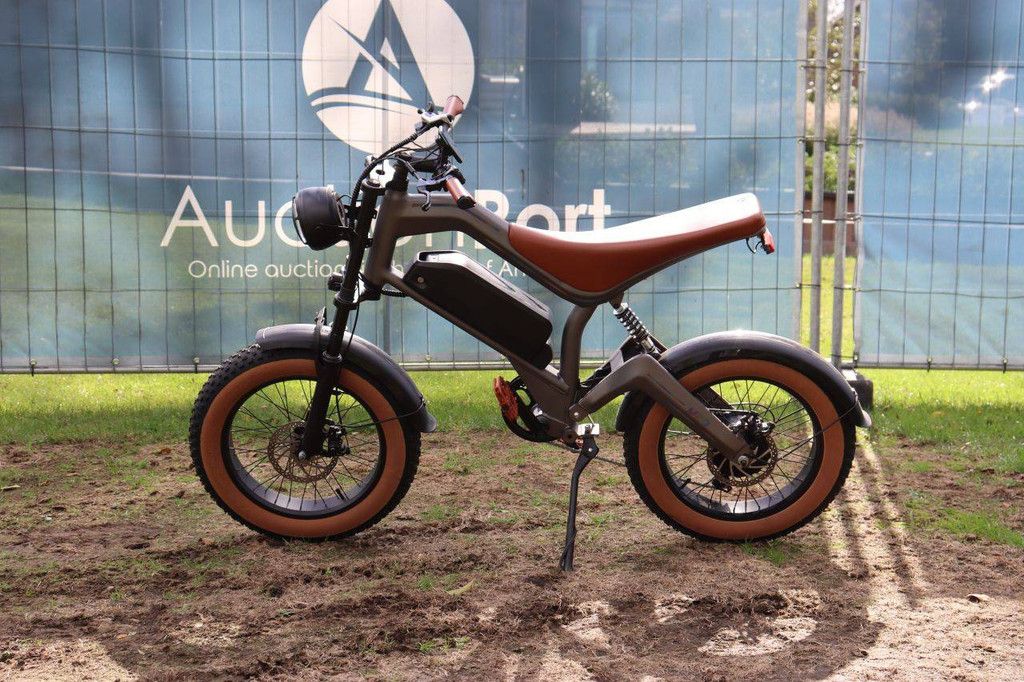 E-Bike DYU M20 Electric