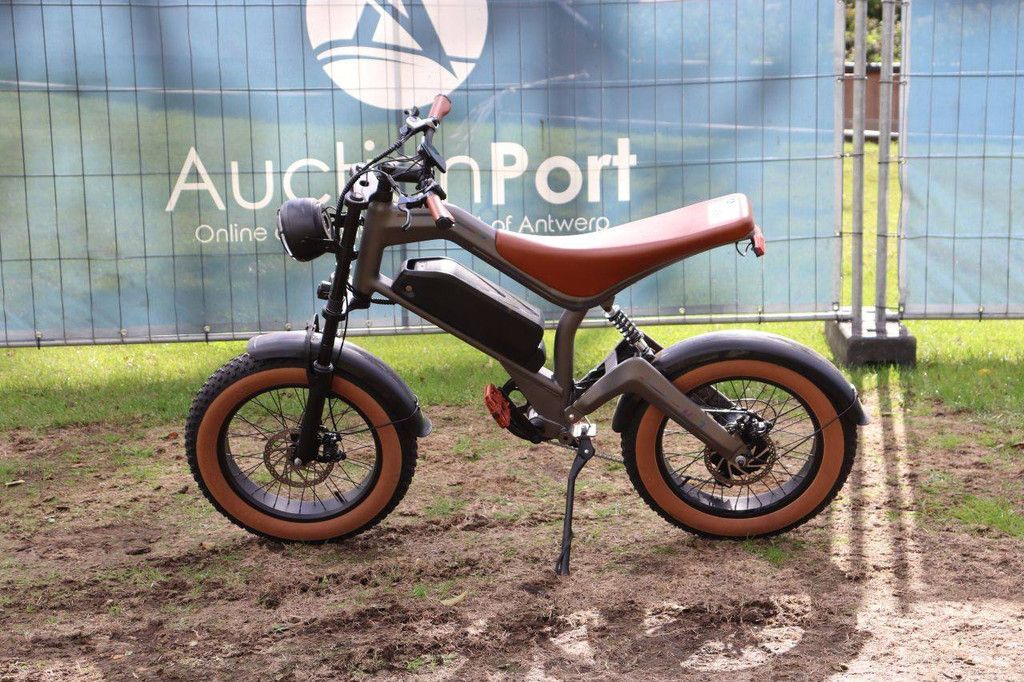 E-Bike DYU M20 Electric
