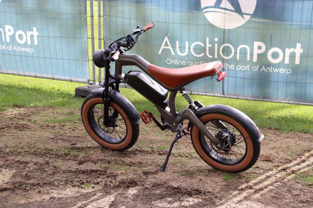 E-Bike DYU M20 Electric