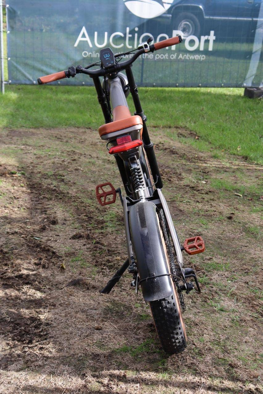 E-Bike DYU M20 Electric