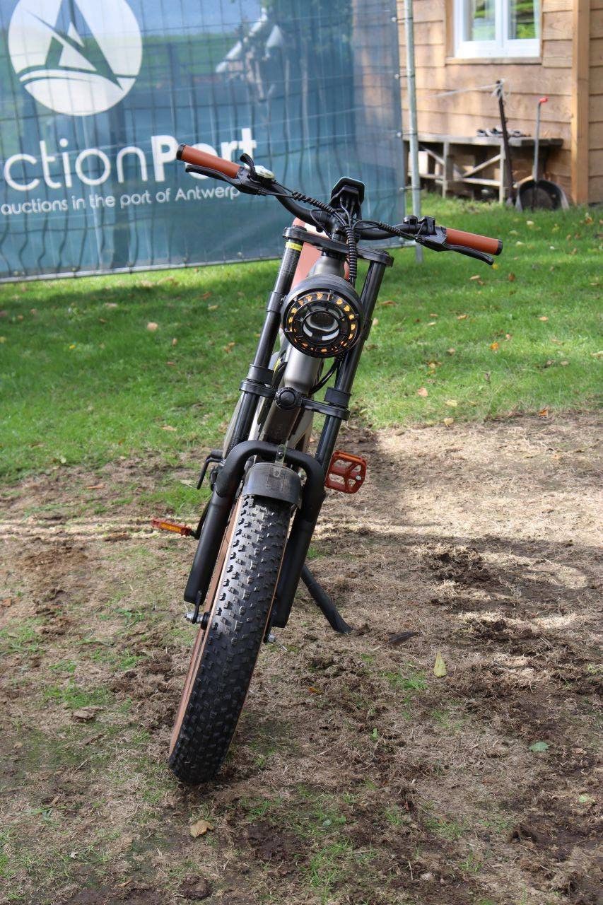 E-Bike DYU M20 Electric