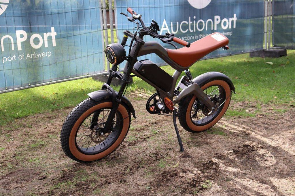 E-Bike DYU M20 Electric