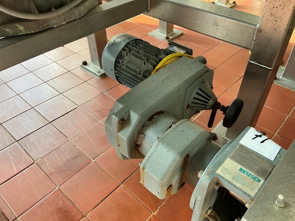 2016 Netzsch NM038BO Progressive cavity pump
