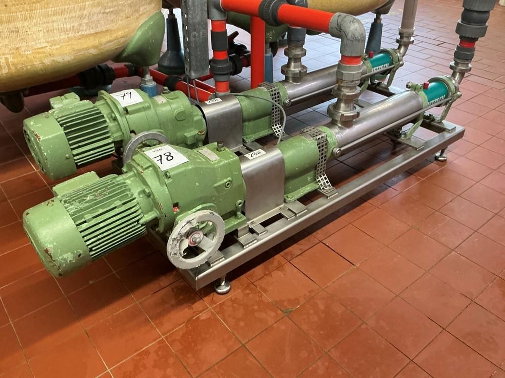 Netzsch Progressive cavity pump