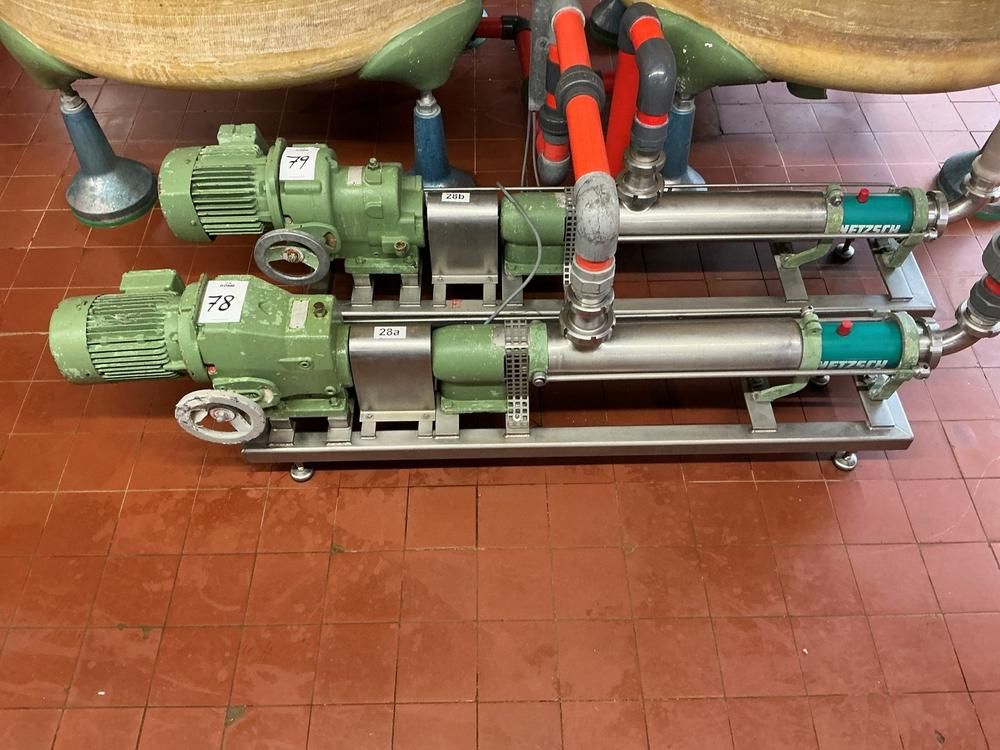 Netzsch Progressive cavity pump