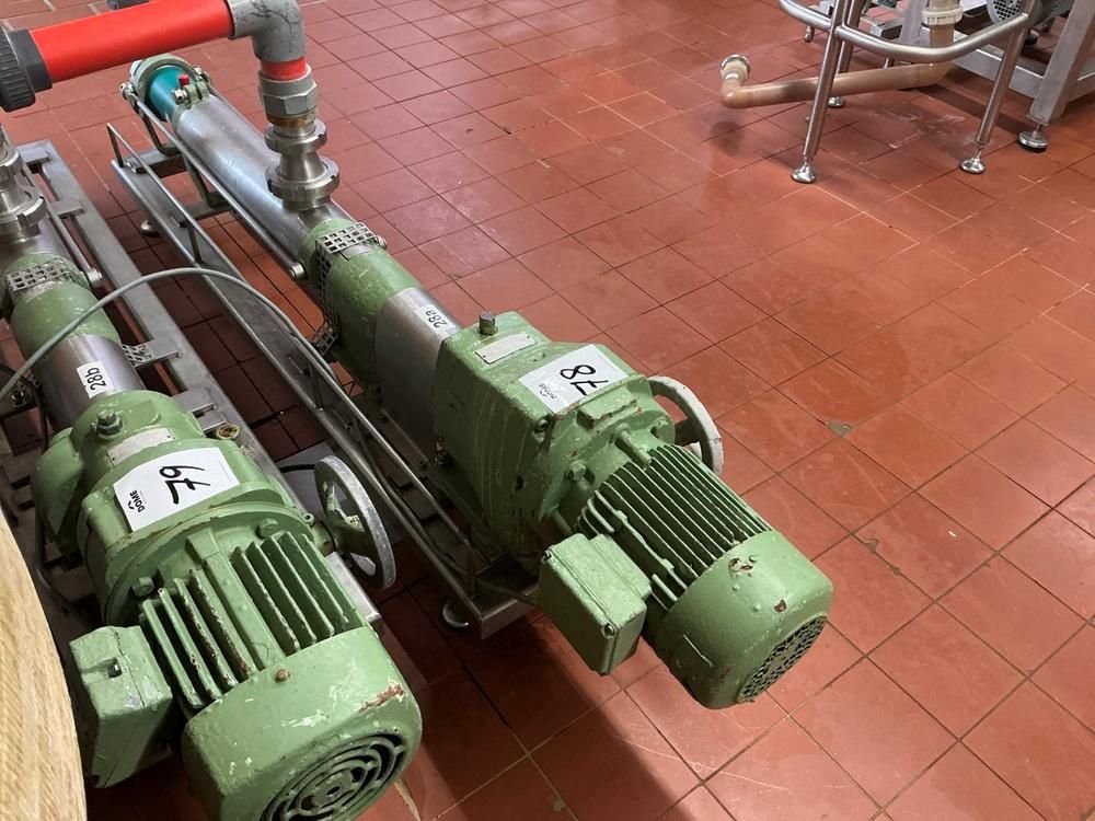 Netzsch Progressive cavity pump