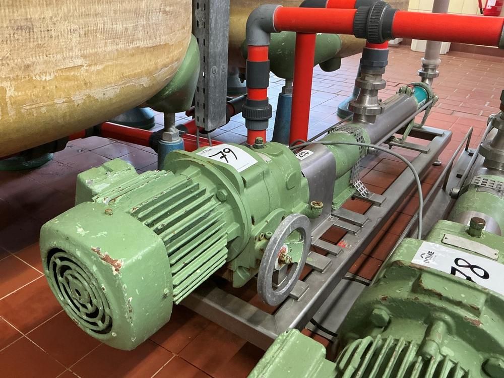 Netzsch Progressive cavity pump
