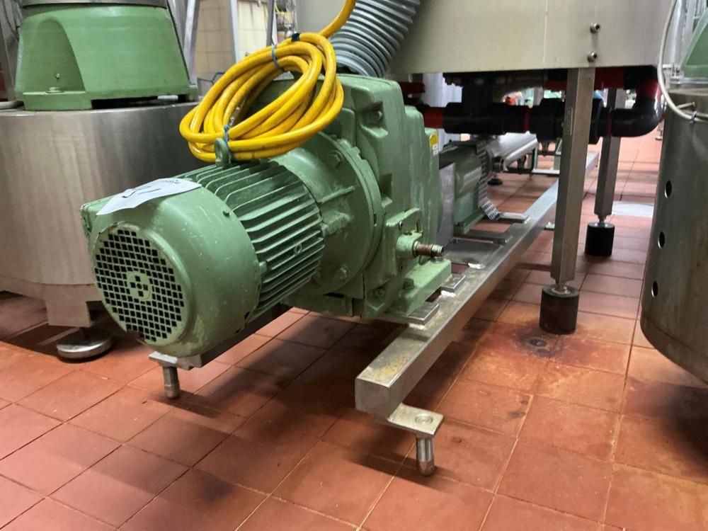 Netzch Progressive cavity pump