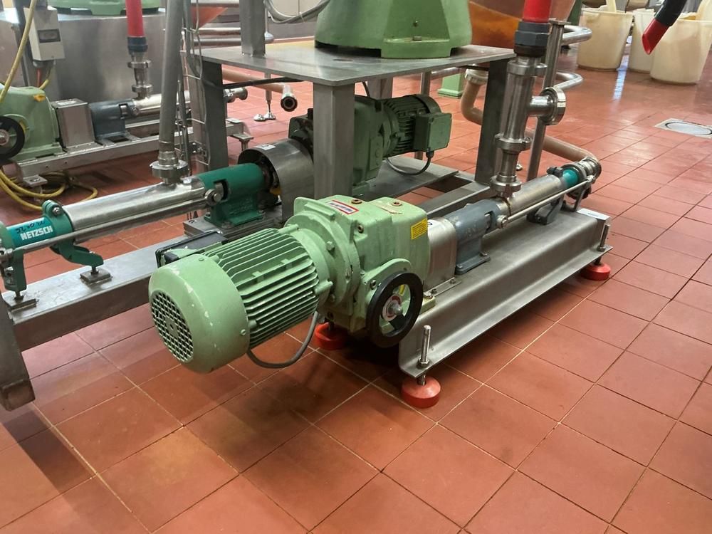 Netzsch Progressive cavity pump