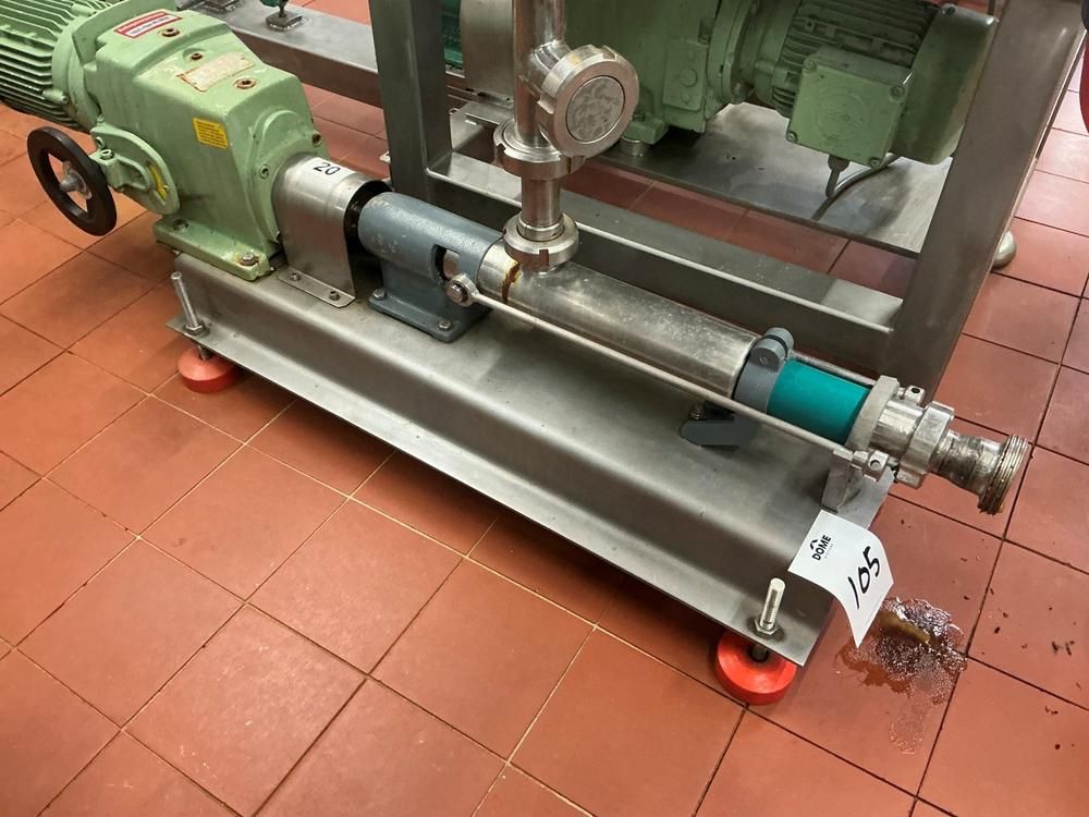 Netzsch Progressive cavity pump