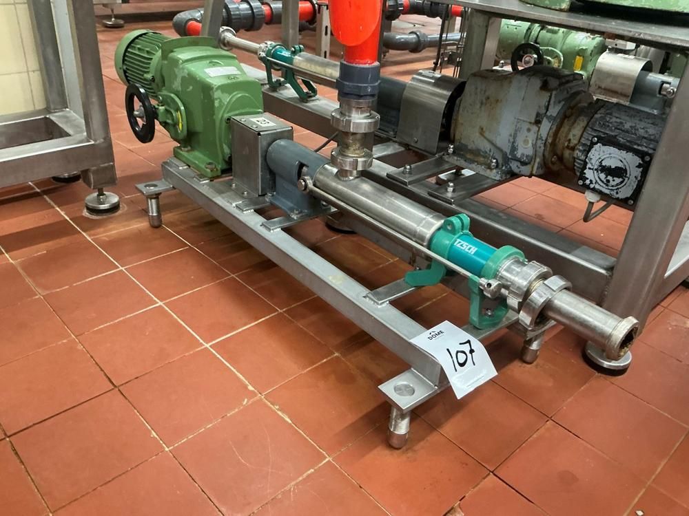 Netzsch Progressive cavity pump