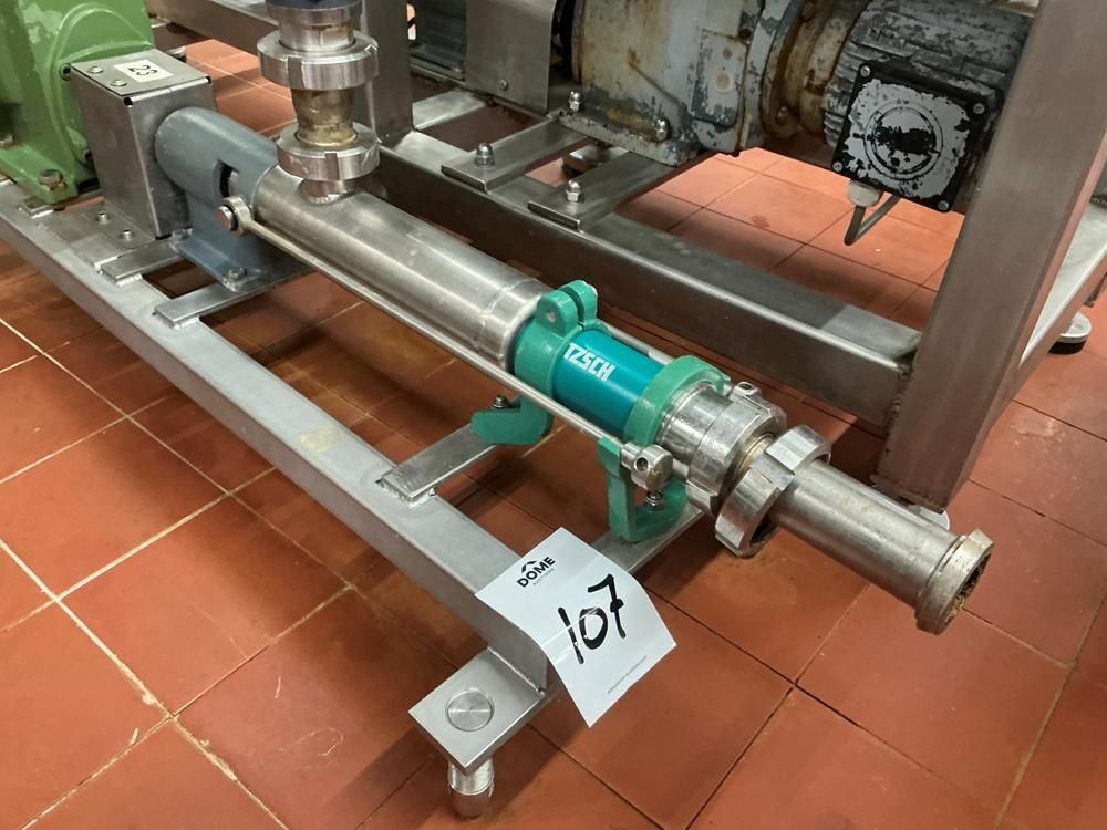 Netzsch Progressive cavity pump