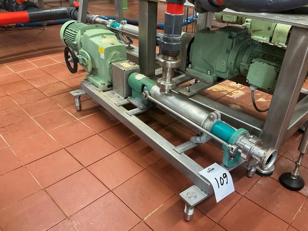 Netzsch Progressive cavity pump