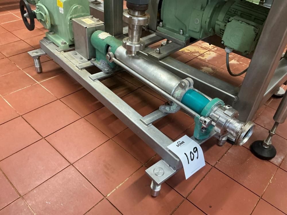 Netzsch Progressive cavity pump