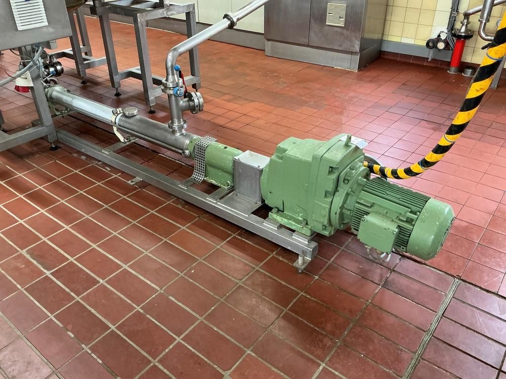 Netzsch Progressive cavity pump
