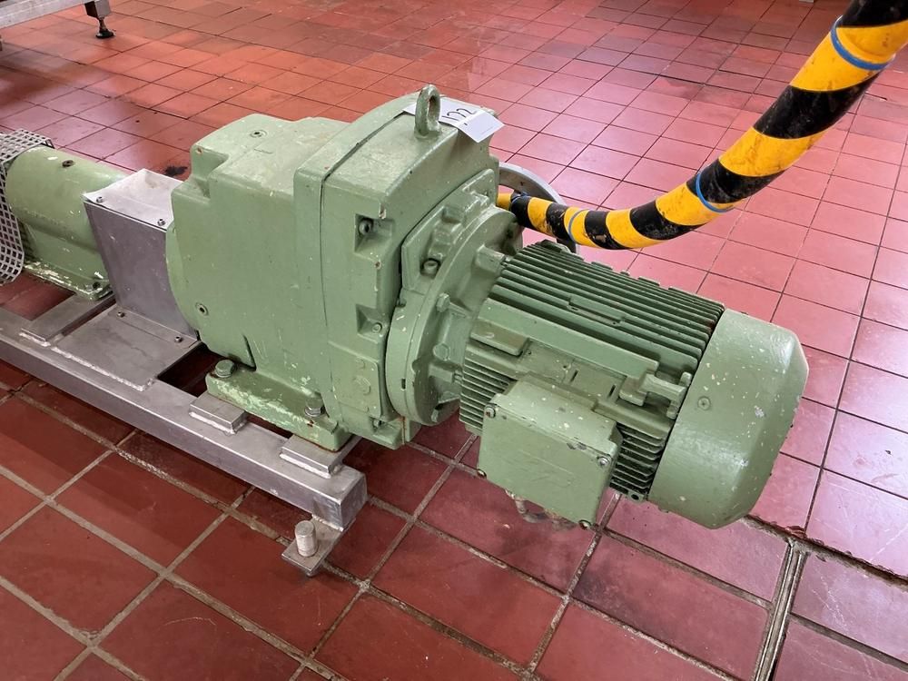 Netzsch Progressive cavity pump