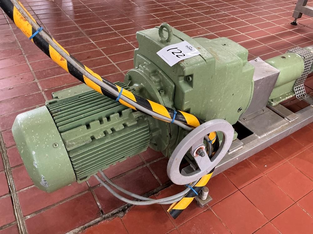 Netzsch Progressive cavity pump