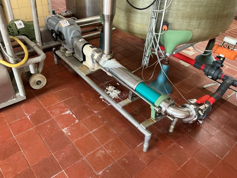 Netzsch Progressive cavity pump