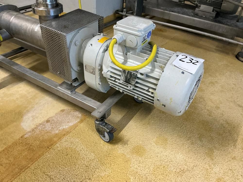 Netzsch Progressive cavity pump