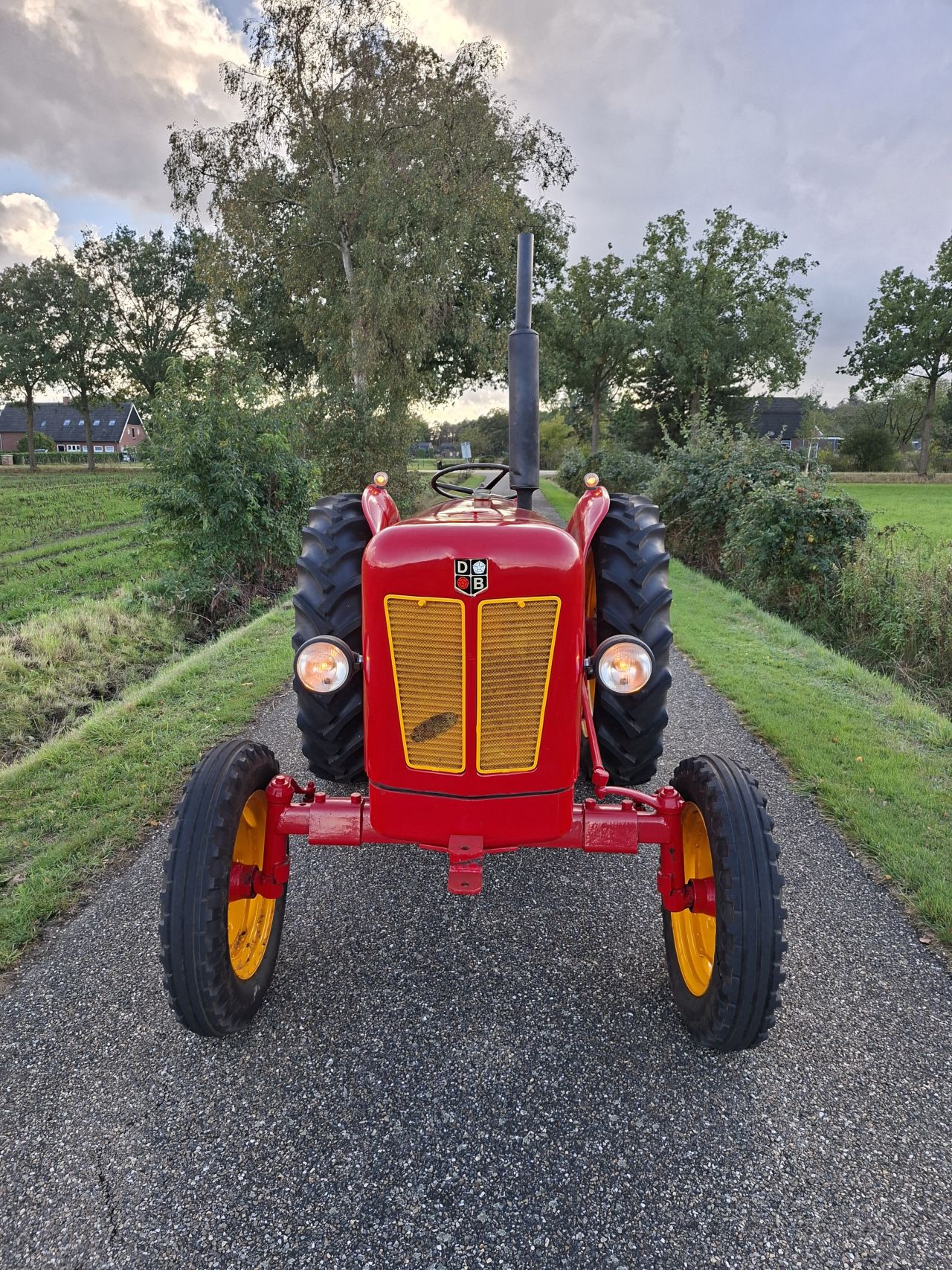 David Brown 990 | NL Kenteken | Inruil & transport