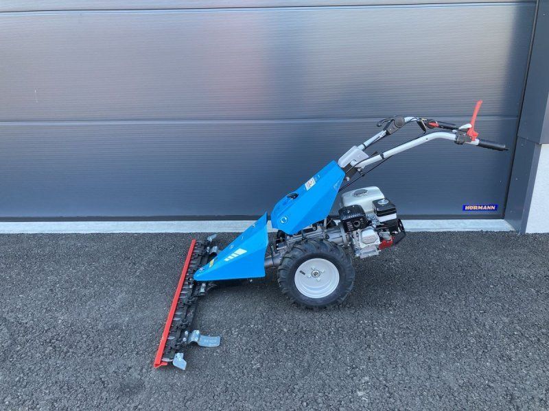 Bertolini B 55