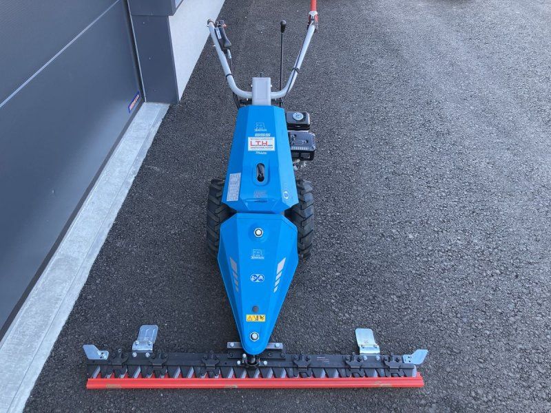 Bertolini B 55