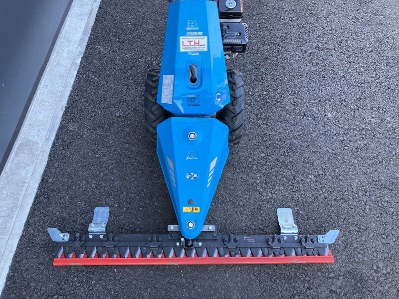 Bertolini B 55