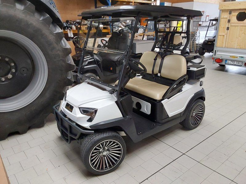 WSM Golf Carts
