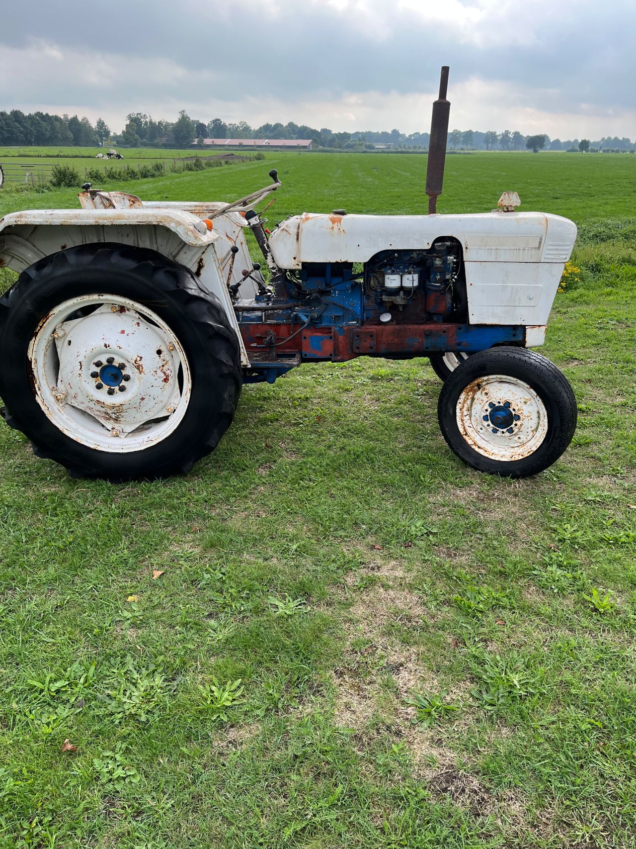 David Brown 780