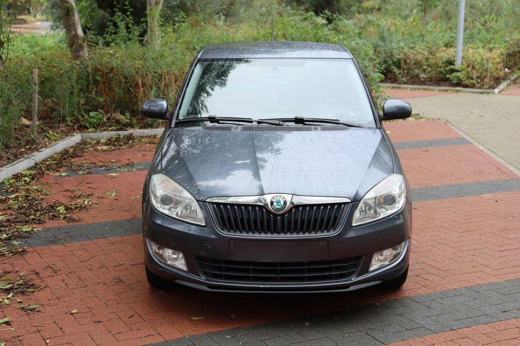 Pkw Skoda Fabia 1.2 Benzin 69 PS 2012 (Margin)