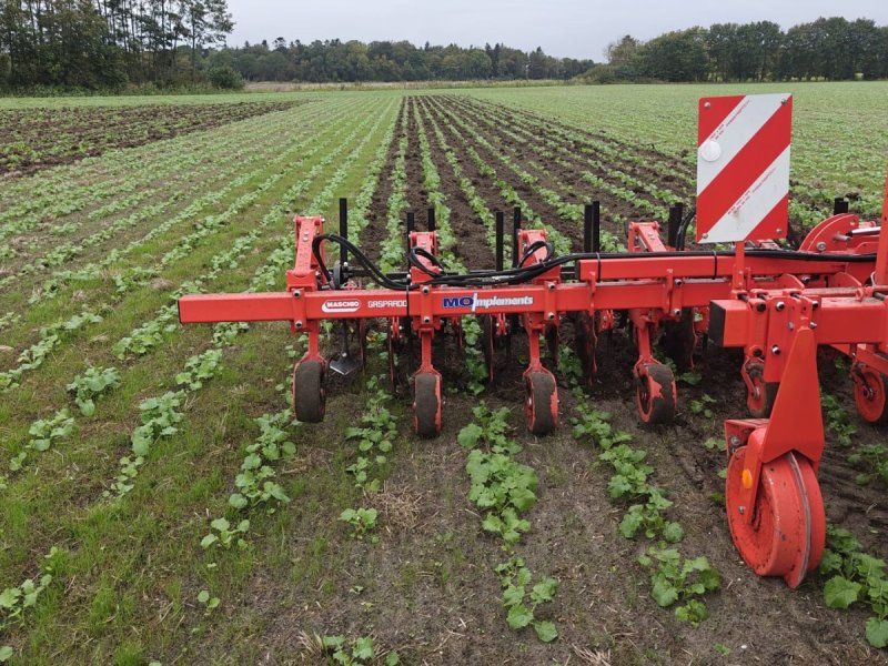 Maschio HS 8-75 evt. med Frøudstyr