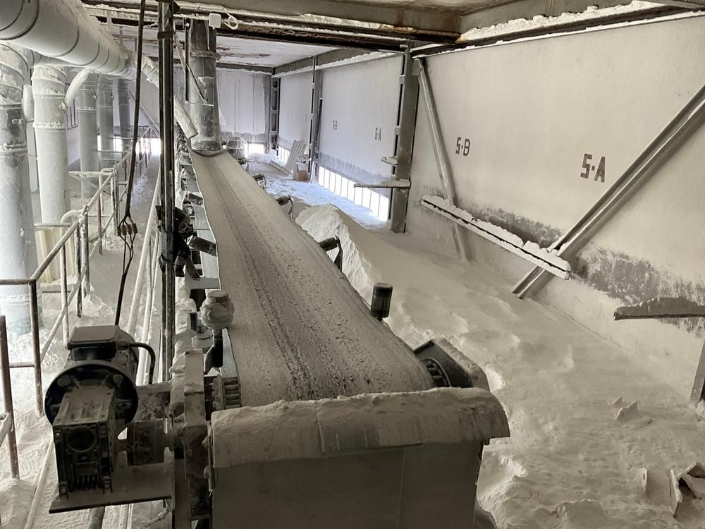 Hopper filling belt conveyor