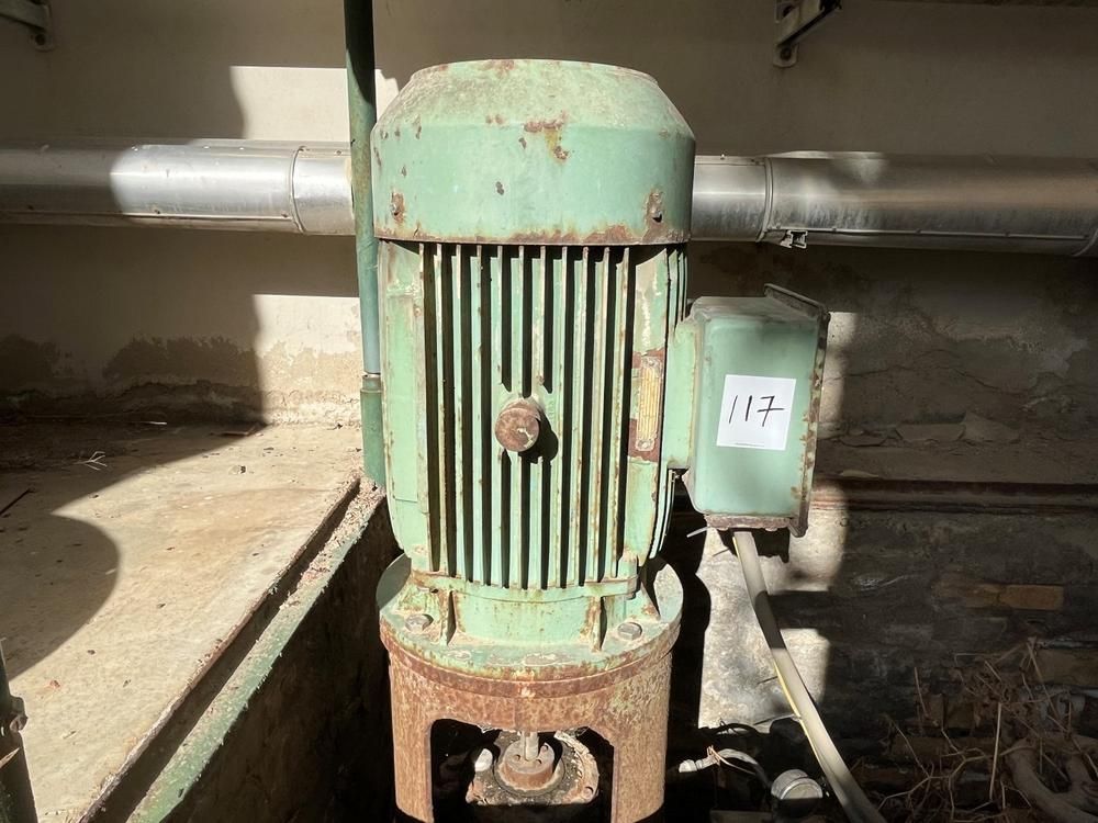 AEG AEG vertical industrial electric motor