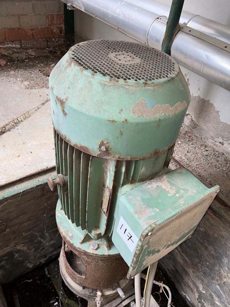 AEG AEG vertical industrial electric motor
