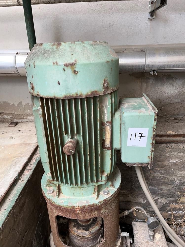 AEG AEG vertical industrial electric motor