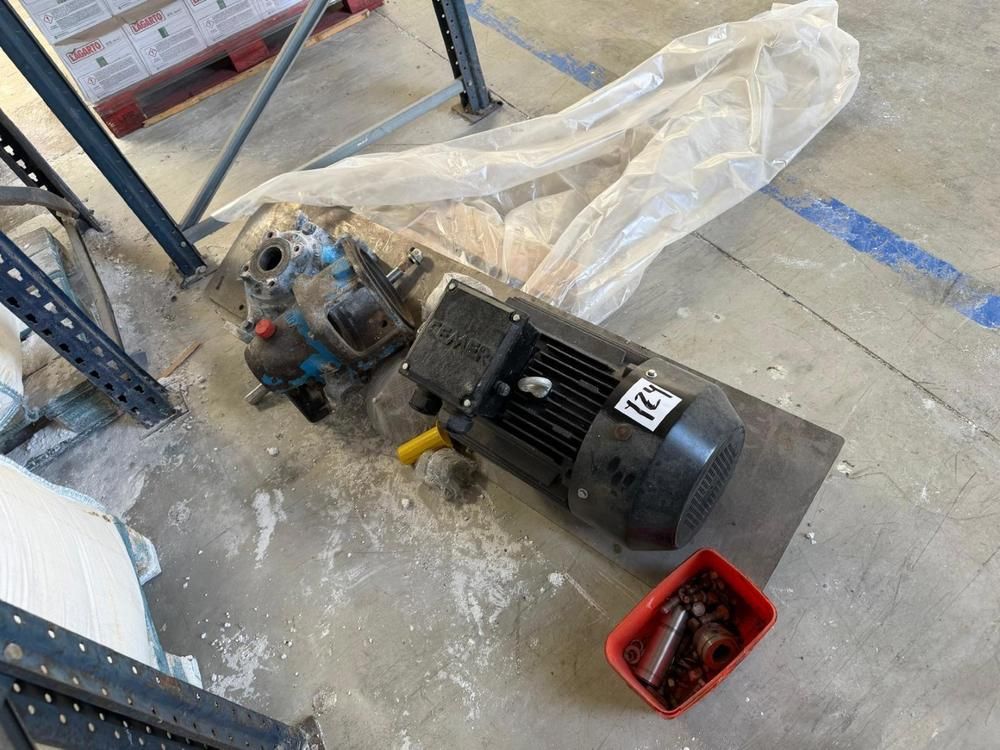 Cemer 3 Phase Induction motor